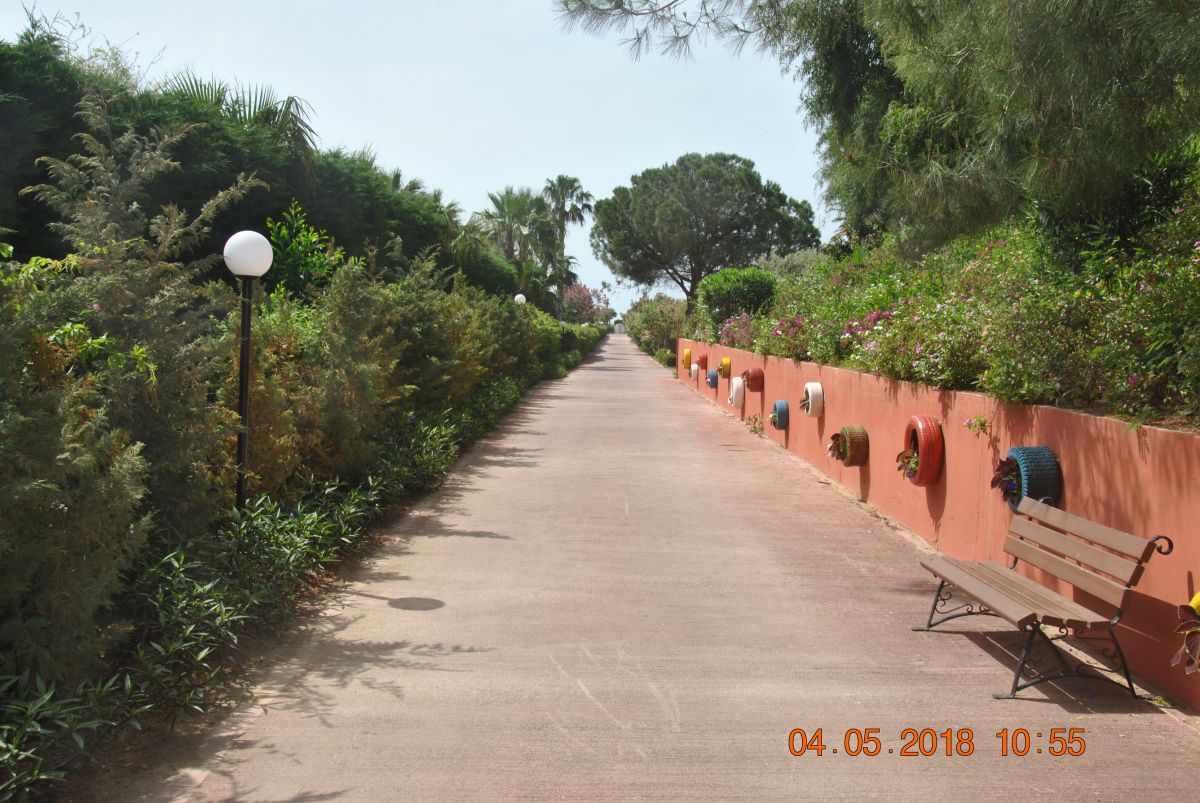 imagini hotel CLUB MEGASARAY BELEK